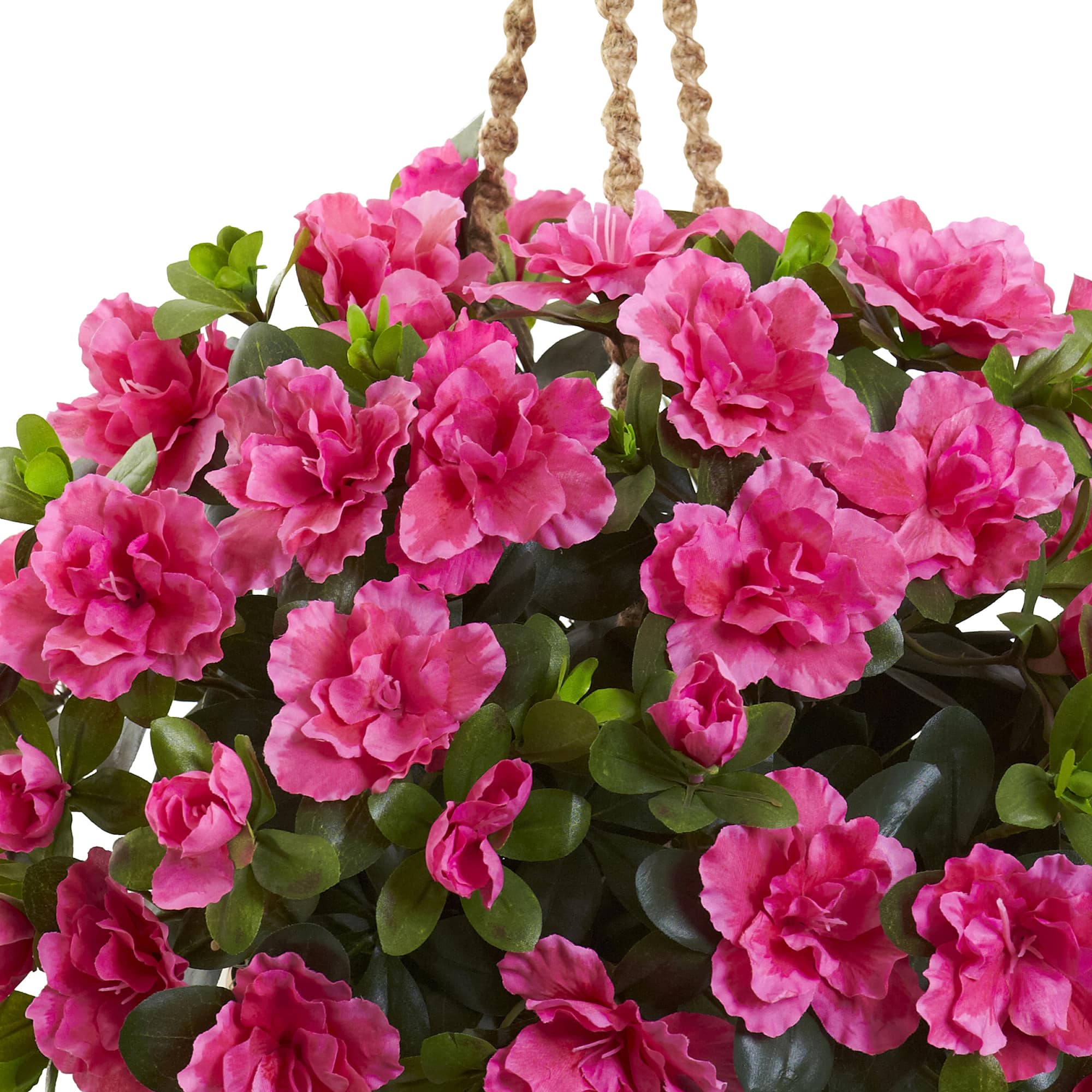 2.5ft. Pink Azalea Flowering Hanging Basket